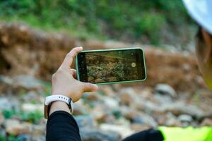 femmina geologo utilizzando mobile Telefono per prendere immagini, esaminare natura e analizzare rocce o ciottoli. ricercatori raccogliere campioni di biologico materiali. ambientale e ecologia ricerca. foto