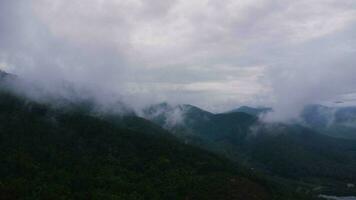 aereo Visualizza di tropicale foresta con nebbia nel il mattina. superiore Visualizza a partire dal fuco di bellissimo montagna tropicale foresta durante inverno nel Tailandia. naturale paesaggio sfondo. foto