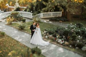 giovane bellissimo nozze coppia abbracciare nel il giardino, il foto è prese a partire dal sopra, prese con il lente di il ts-e sistema