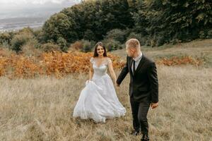 un' romantico fiaba coppia di Novelli sposi siamo a piedi nel un' campo a tramonto, dietro a felce le foglie. il sposa è nel un' bianca nozze vestire, il sposo è nel un' nero classico completo da uomo e un' bianca camicia foto