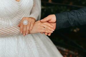 dettagli nozze Accessori. il sposa è Tenere un' bianca rosa, un' bellissimo nozze squillare con un' cristallo su sua mano. ritagliata foto. bellissimo mani foto