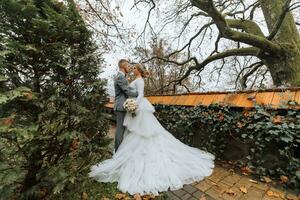 lunghezza intera ritratto di il sposa e sposo nel il giardino vicino alto alberi. nozze camminare nel il giardino foto