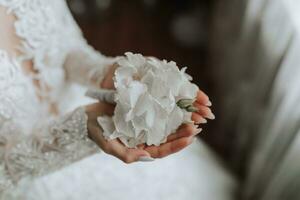 bianca ortensia fiore nel il mani di il sposa avvicinamento foto