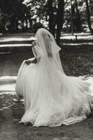contento sposa in esecuzione nel un' vestito con un' lungo velo nel il parco. nero e bianca foto