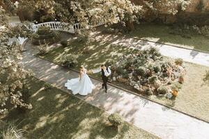 sposo e sposa a piedi e Tenere mani nel un' bellissimo cortile. largo angolo foto di il tramonto.