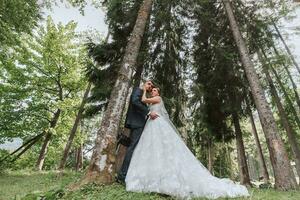 un' nozze coppia è godendo il migliore giorno di loro vite contro il fondale di alto alberi. ritratto di spose nel amore nel natura foto