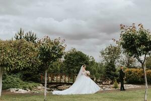 il sposa e sposo camminare e camminare in direzione ogni Altro. angolo ampio foto nel un nuvoloso cielo.