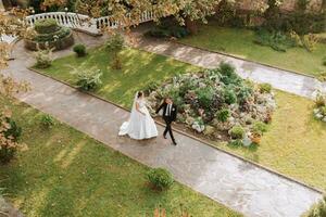 il sposa e sposo camminare nel un autunno parco sotto alto quercia alberi e contrastante luce del sole. foto prese a partire dal sopra