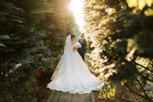 contento sposa e sposo siamo a piedi nel il parco dopo il nozze cerimonia. lungo velo. elegante bianca vestito con Aperto le spalle. un' mazzo di orchidee. durante tramonto foto