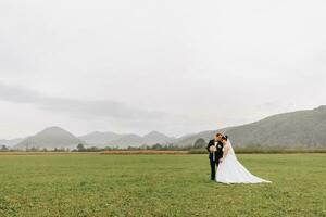 un' elegante sposo nel un' nero completo da uomo e un' bellissimo sposa nel un' bianca vestito siamo a piedi nel natura contro il sfondo di alto montagne, Tenere mani. nozze ritratto di Novelli sposi nel amore. foto