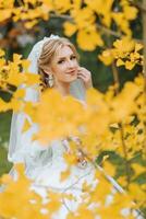 ritratto di un' bellissimo sorridente sposa. autunno ritratto di il sposa. giallo autunno le foglie foto