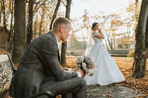 ritratto di un' contento nozze coppia, il sposa e sposo siamo a piedi e baci nel il autunno foresta, parco foto