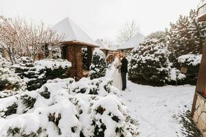 contento Novelli sposi fra nevoso alberi. il sposo abbracci il sposa nel il inverno parco. sorridente sposa con un' mazzo di fiori nel un' nozze vestito e bianca poncho. il sposo è vestito nel un' nero cappotto. foto