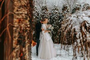 sensibile ritratto di contento Novelli sposi. il sposo abbracci il sposa nel il inverno parco. il sposa nel un' nozze vestito e un' bianca poncho. il sposo è vestito nel un' nero cappotto. largo angolo. gratuito spazio foto