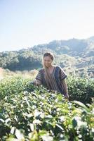 giovane donna felice nella piantagione di tè
