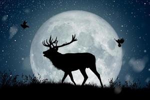 silhouette di renne in piedi sulla collina sotto la luna piena di notte natale mentre due uccelli volano intorno.