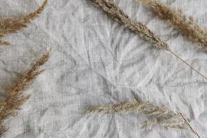 flatlay di erba della pampa su sfondo grigio tessile