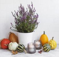 composizione creativa del giorno del ringraziamento autunnale autunnale con zucche arancioni decorative foto