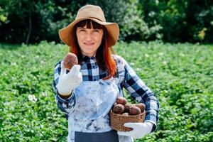La contadina tiene una patata in un cesto di vimini che indossa un cappello di paglia e circondata da molte piante nel suo orto foto
