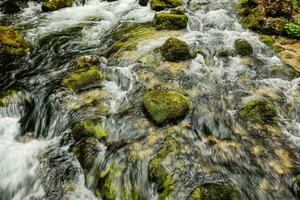 pietre con verde muschio nel un' freddo chiaro ruscello foto