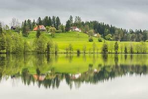 sorprendente riflessi nel un' lago con verde prato alberi e case foto