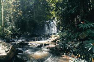 cascata in una foresta tropicale durante il giorno