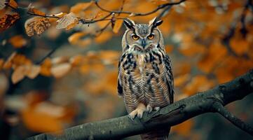 ai generato un' grande gufo seduta su un' albero ramo foto