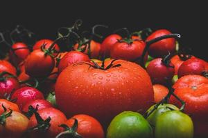 mescolare i pomodori con sfondo nero. foto