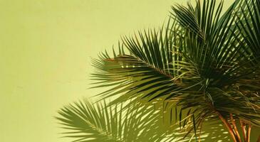 ai generato un' ombra di un' palma albero su un' parete foto