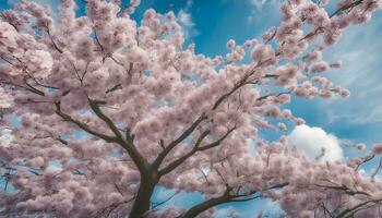 ai generato un' bellissimo rosa ciliegia albero con bianca nuvole nel il cielo foto