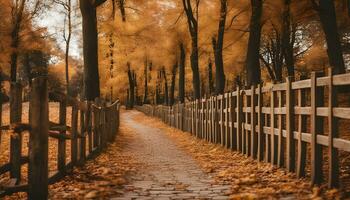 ai generato un' sentiero nel il boschi con un' recinto e alberi foto