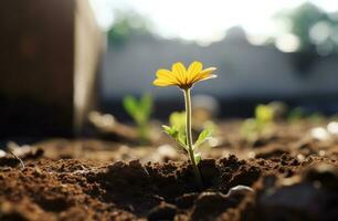 ai generato un' giallo fiore in crescita nel il terra foto