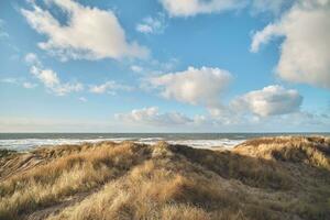 costiero paesaggio nel occidentale Danimarca foto