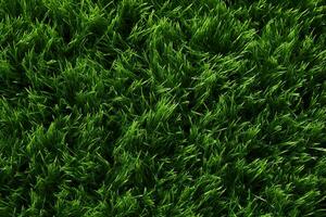 ai generato verde erba struttura sfondo. vicino su di fresco primavera erba superiore Visualizza foto