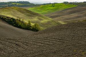 raccolto i campi e prati paesaggio nel Toscana, Italia. ondulato nazione scenario a autunno tramonto. arabile terra pronto per il agricolo stagione. foto