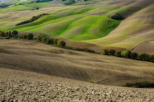 raccolto i campi e prati paesaggio nel Toscana, Italia. ondulato nazione scenario a autunno tramonto. arabile terra pronto per il agricolo stagione. foto