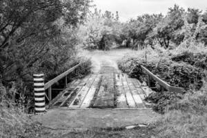 meravigliosamente in piedi vecchio di legno ponte al di sopra di fiume nel leggero sfondo foto