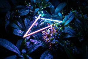 ai generato neon neon triangolo giungla sfondo tropicale musica foto