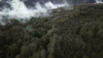 aereo Visualizza di valle e ruscello nel autunno stagione. azione filmato. autunno foresta, alberi sfondo con congelato stretto flusso, bellezza di natura concetto. foto