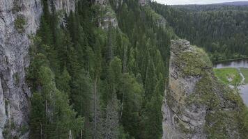 bellissimo montagna attenzione alto su il montagne. clip. enorme valle con di spessore eucalipto foresta. superiore Visualizza di un' grande scogliera nel il foresta foto