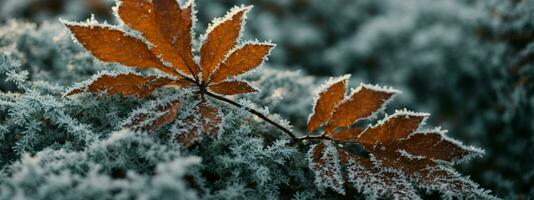 ai generato bandiera inverno natura nel su il intricato brina modelli su foglie, rami, o anche acqua superfici foto