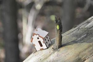 modellino di una casetta in legno nella foresta foto