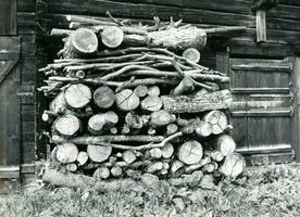 un' mucchio di logs al di fuori un' fienile foto