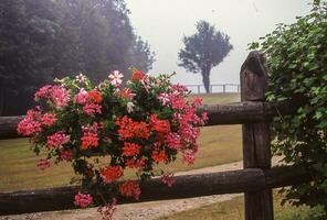 un' recinto con un' sospeso cestino di fiori foto