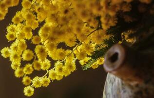 un' vaso con giallo fiori nel esso foto