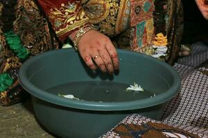 indonesiano giavanese tradizionale nozze ricezione foto