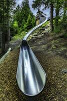 metallo diapositiva nel il alpino foresta foto