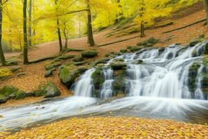 ai generato cascata nel autunno foresta paesaggio sfondo. professionista foto