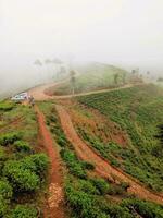 bellissimo Visualizza di il roccioso strada con tè piantagione a partire dal il lati foto