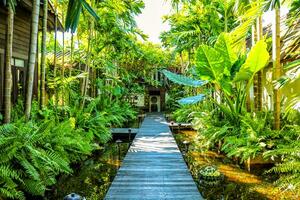 strada circondato con verde tropicale alberi principale per un' Hotel foto